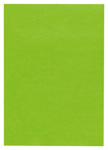 Flaschenseiden klarapfel (hellgrün) Format 37,5 x 50 cm, ZU1026
